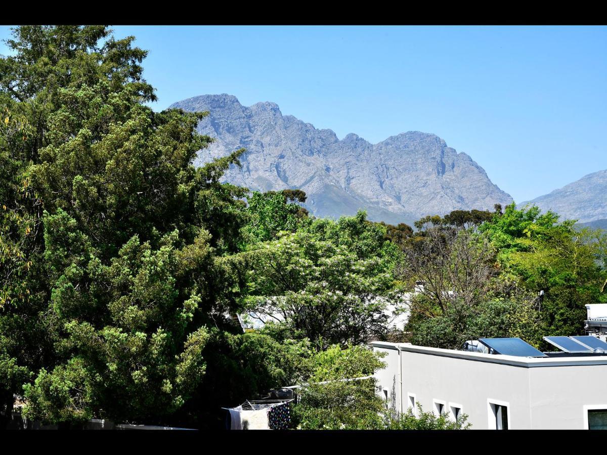 Small Wonder Franschhoek Extérieur photo